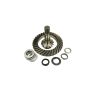 Wałek z kołem 12x37 Carraro - OEM Original Equipment Manufacturer
